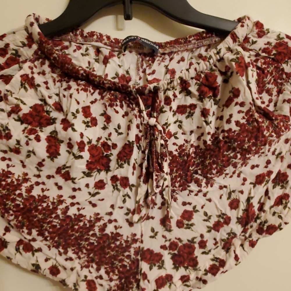 Brandy and melville floral shorts